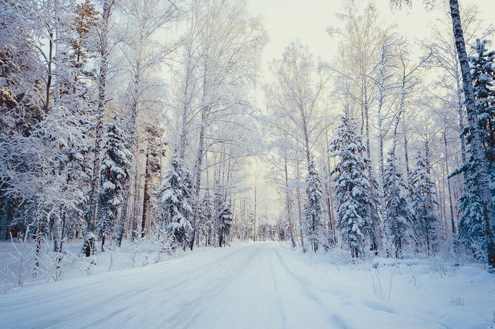 Photograph by Екатерина Корчик