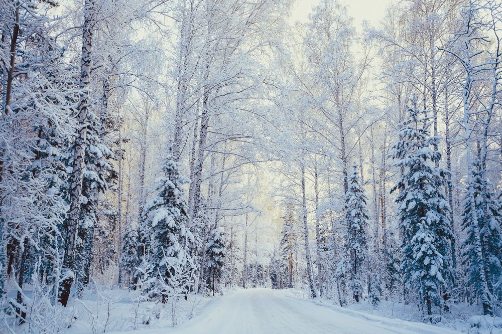 Photograph by Екатерина Корчик