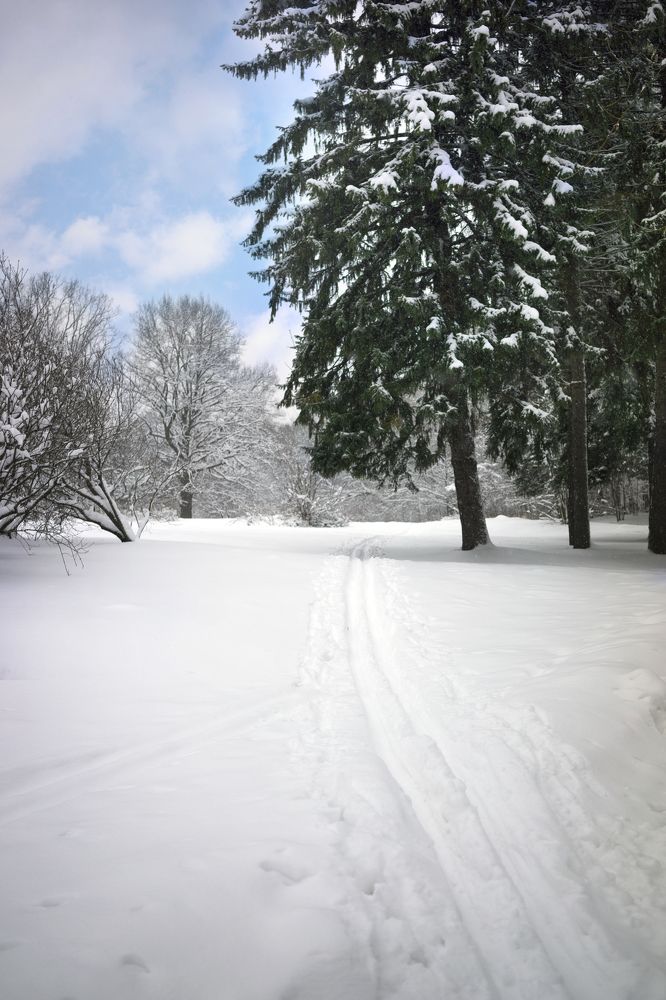 Тропа здоровья