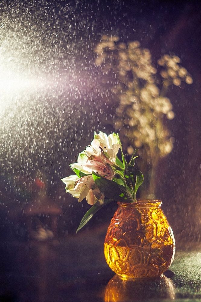 Photograph by Тата Бакбак