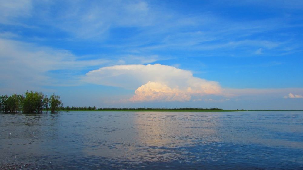 Season Fishing 2017 ©