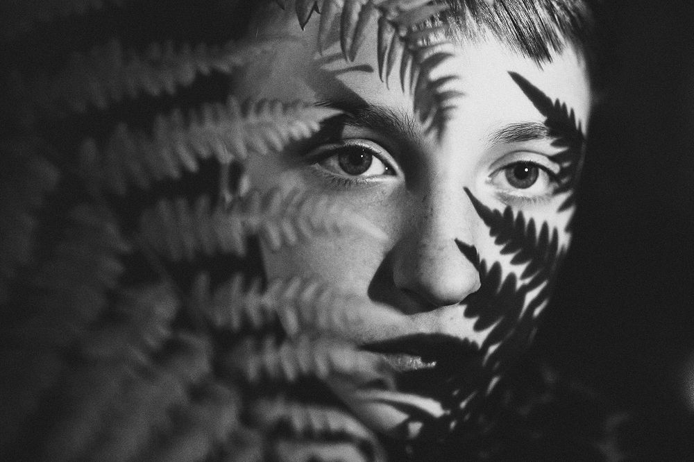 Папоротник