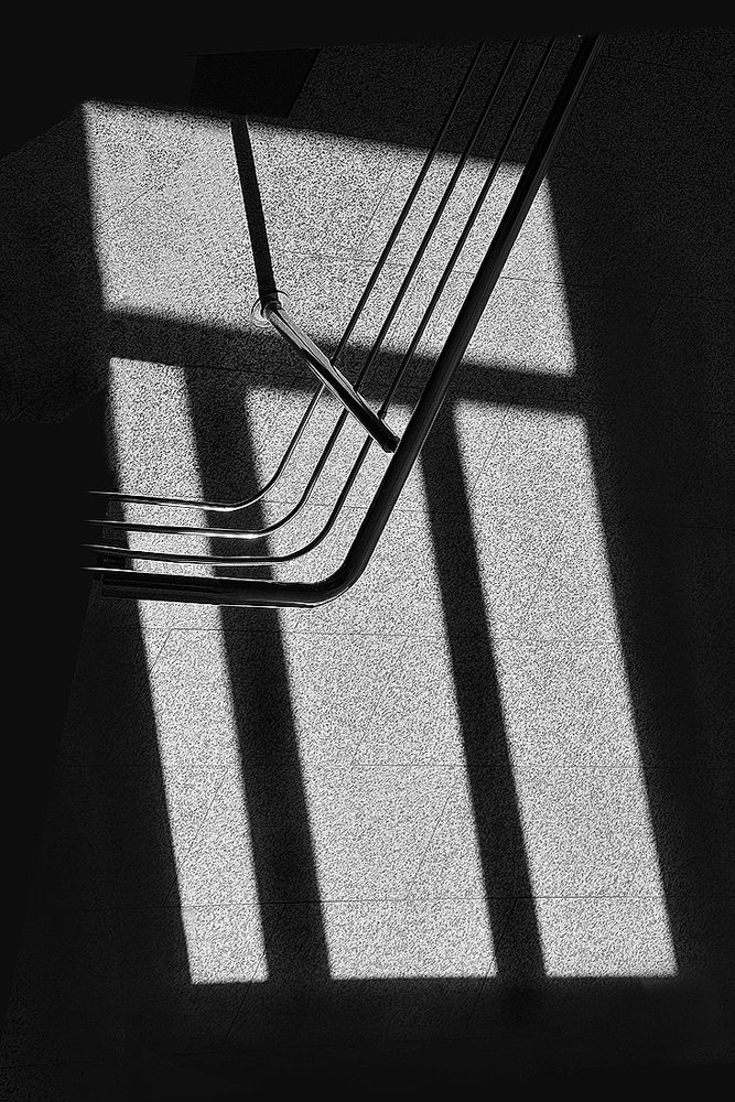 ЭТЮД С ТЕНЬЮ