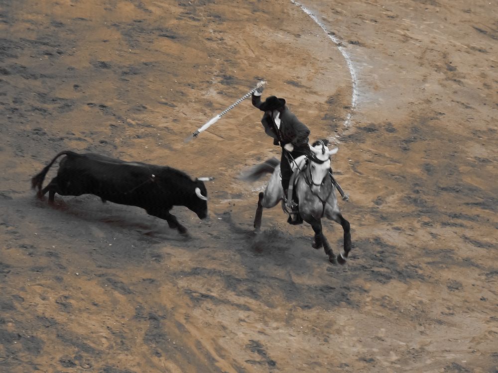 Грациозное искусство.