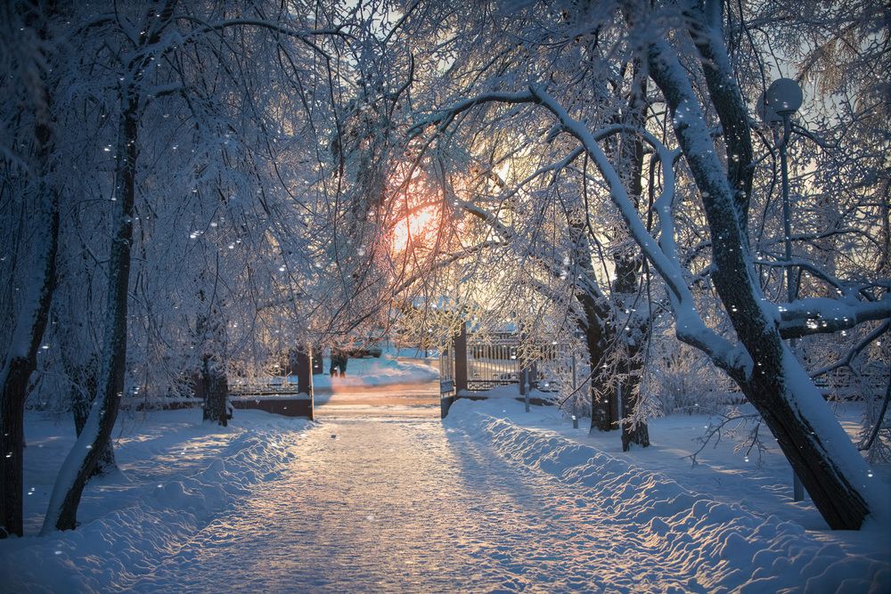 Зимняя сказка