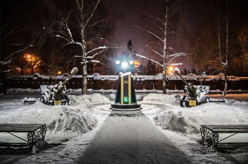 Защитники в зимней спячке