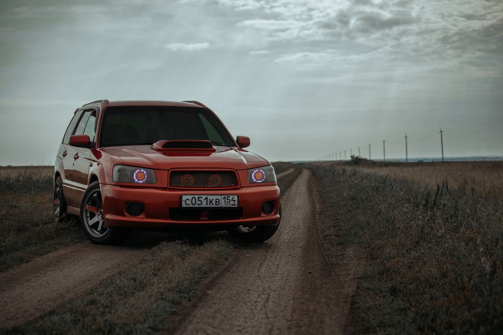 Лесник и поле