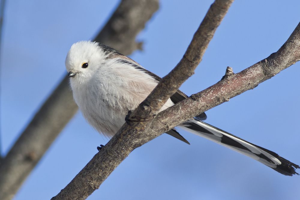 Photograph by Сергей Алексеев