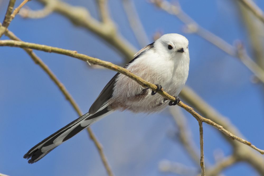 Photograph by Сергей Алексеев