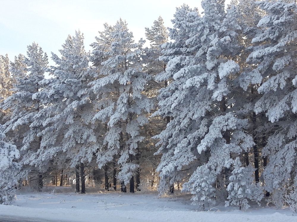 снежные наряды