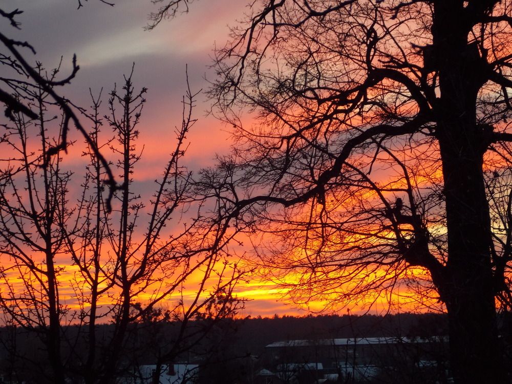 Зимний закат