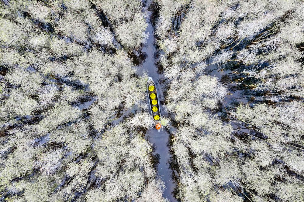 Flower ship in the forest