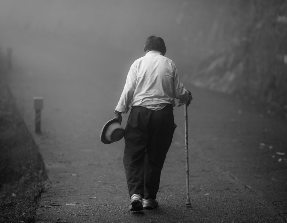 Кора вокруг дворца Далай Ламы в Индии