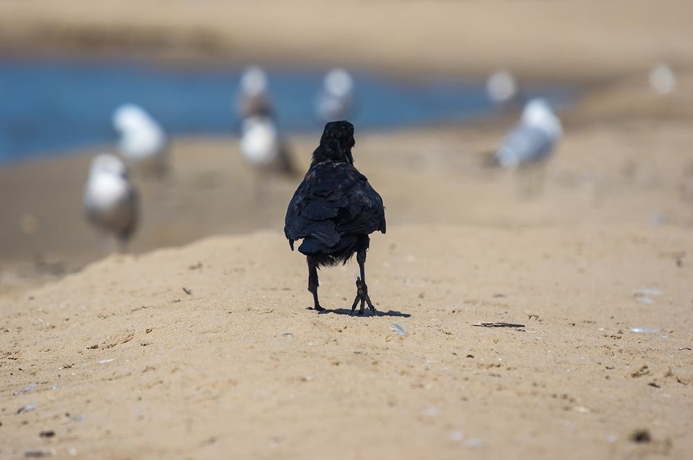 Усталой походкой ....