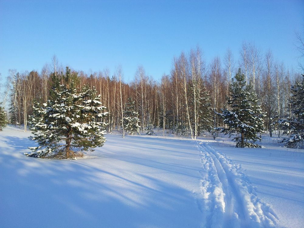 Волшебная лыжня