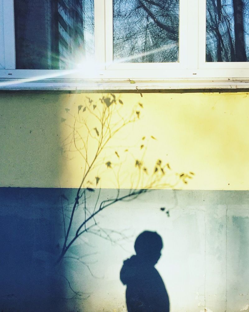 Солнечный день