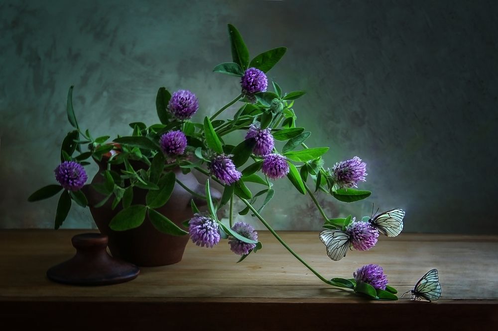 нашествие...