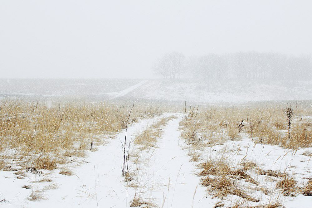 Зимний путь