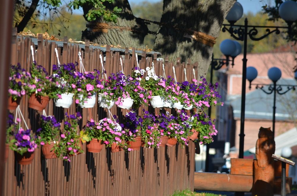 Каждому цветочку по горшочку