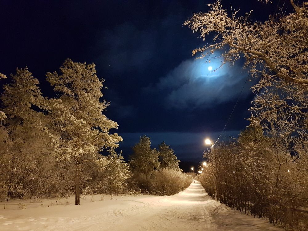 Лунная дорожка