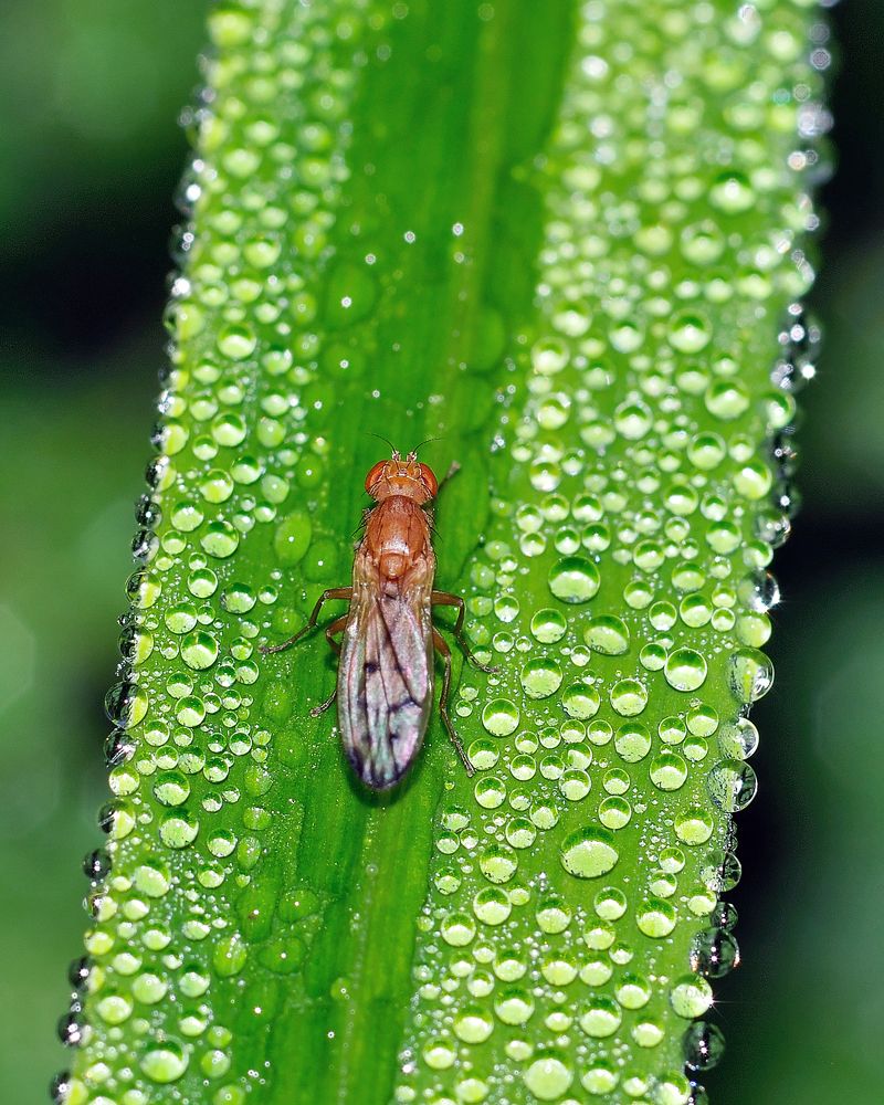 Мокрая дорога