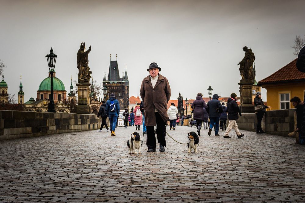 The man with the dogs