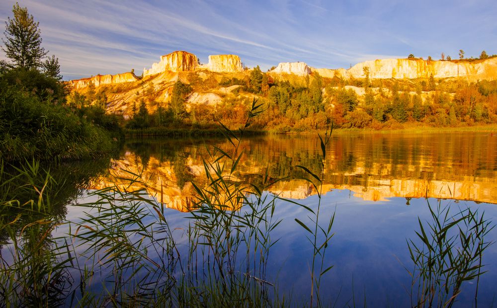 Золото Макенны