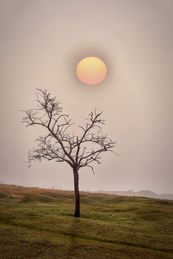 Одиночество