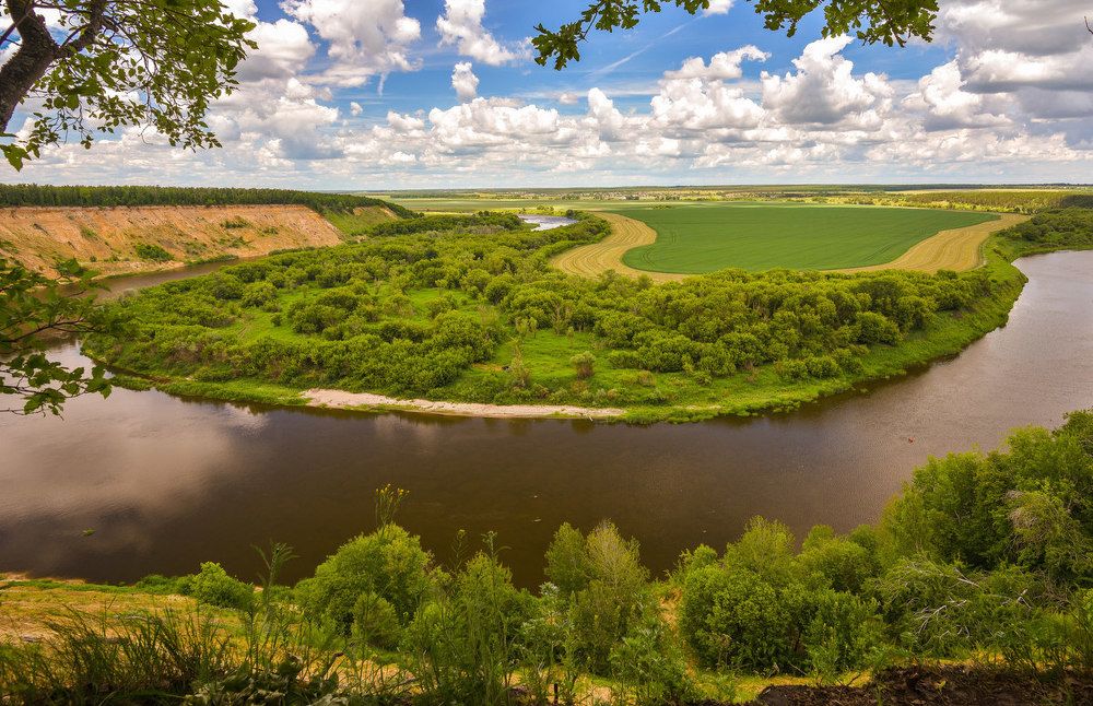 Там чудеса, там леший бродит...