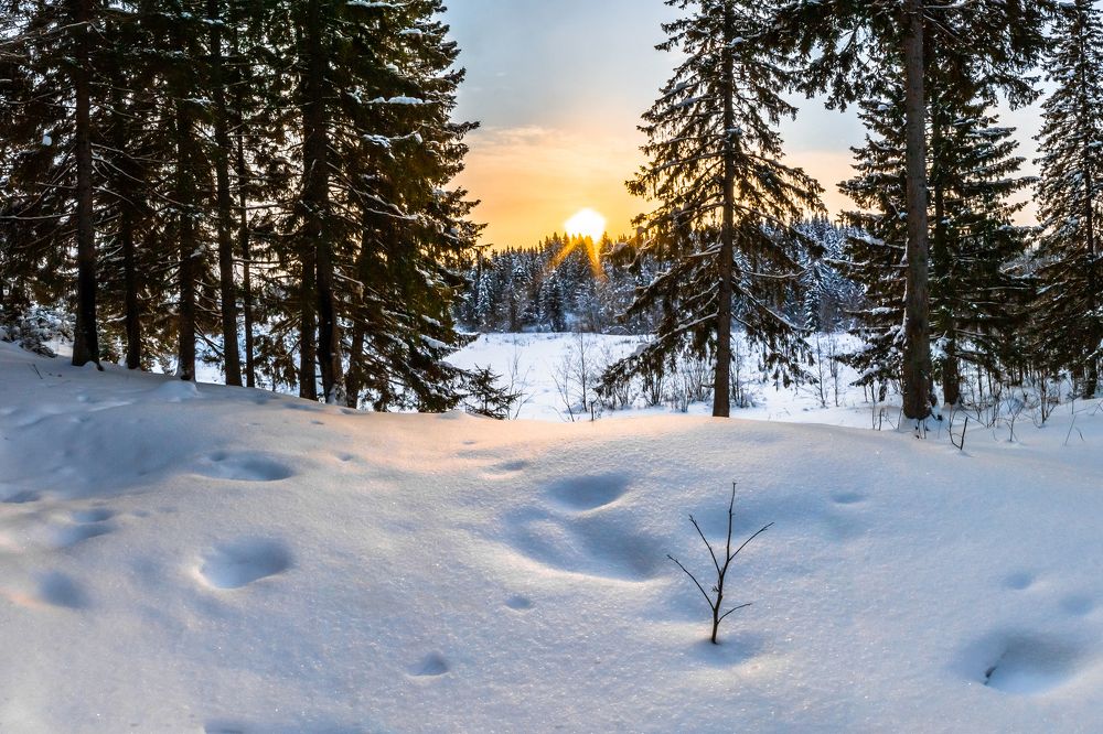 Photograph by Алексей Кашин