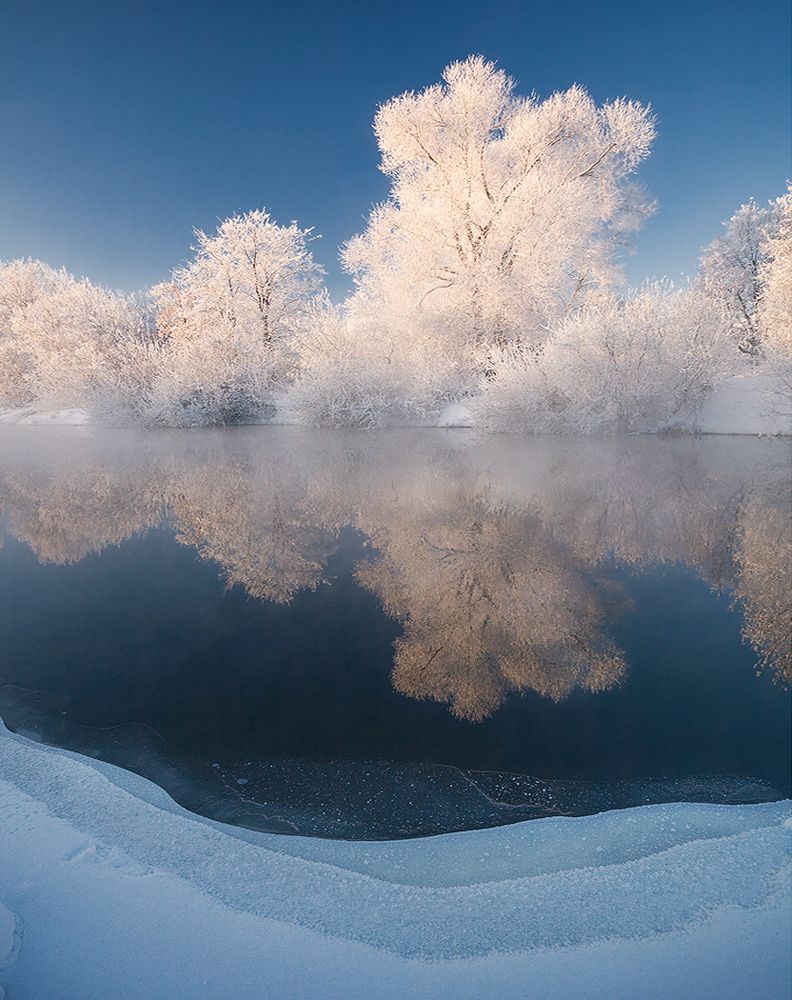 Застывший свет