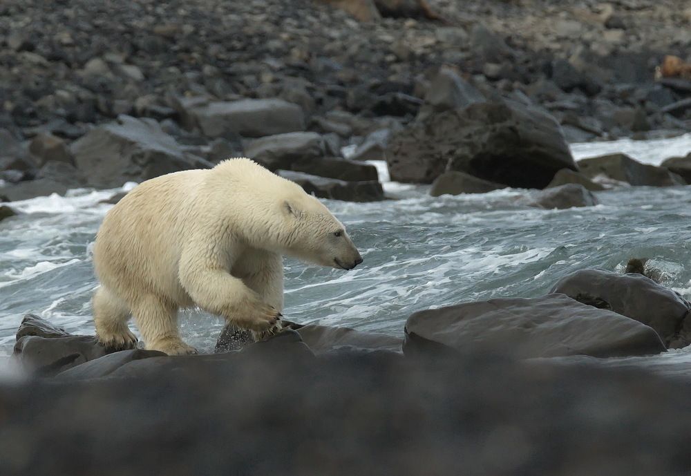 А не искупаться ли мне?