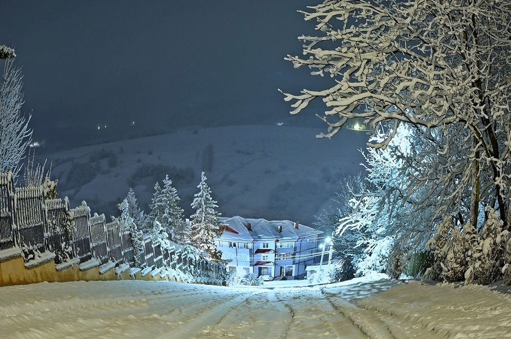 Photograph by Vitel Ștefan