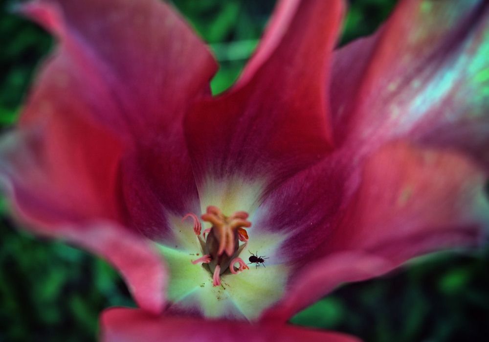 Фотография автора Анастасия Пищулова