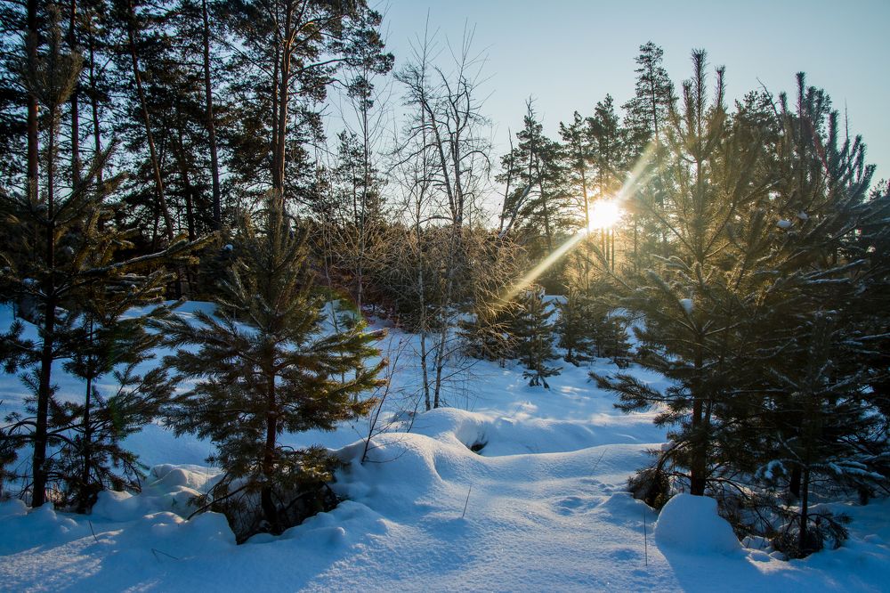 Рассвет в ледяном королевстве