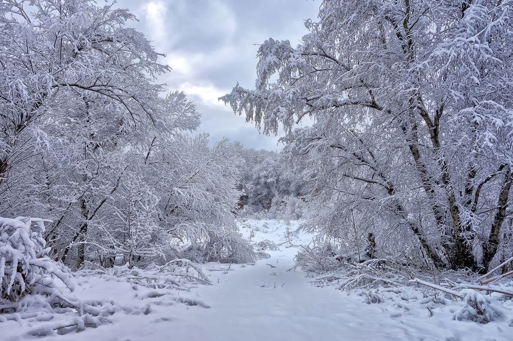 Photograph by Виталий Маслов
