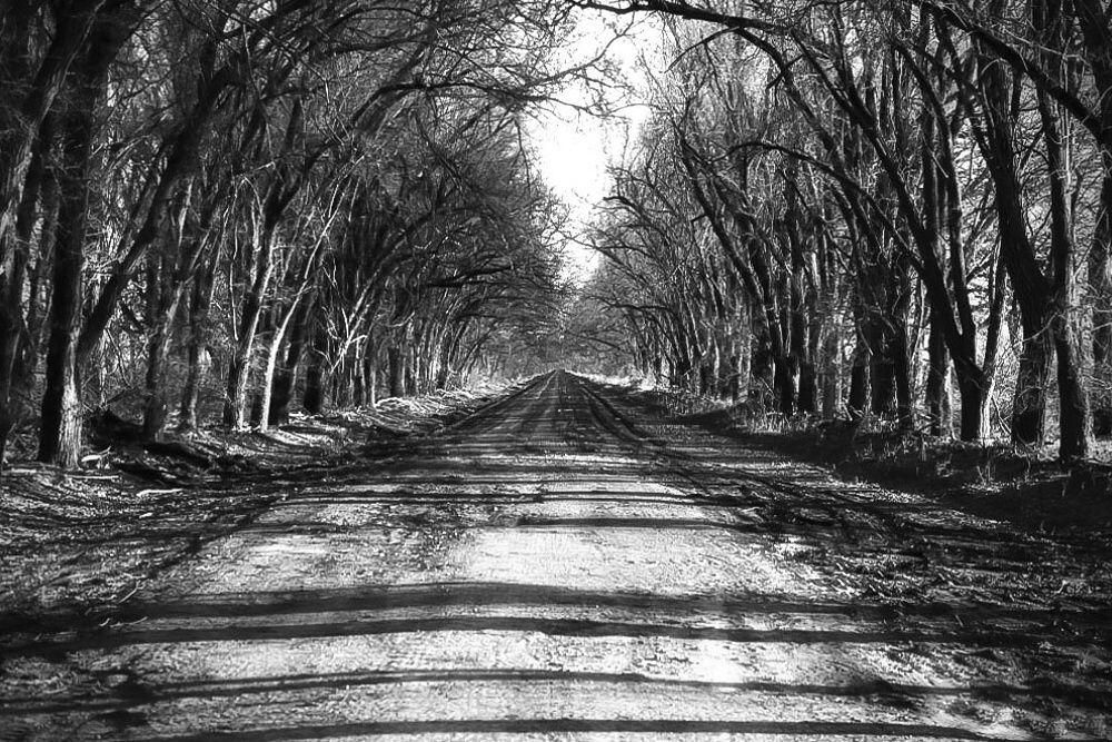 Дорога вдаль