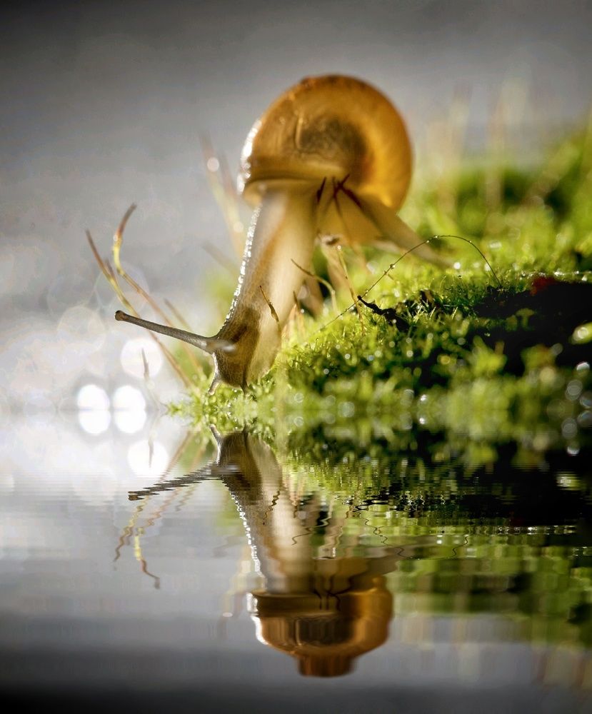 Photograph by Дарья Медведева