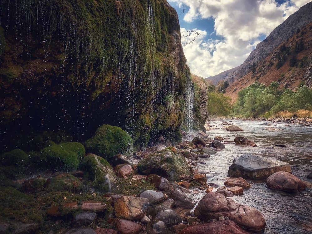 Жизнь в каждой капле
