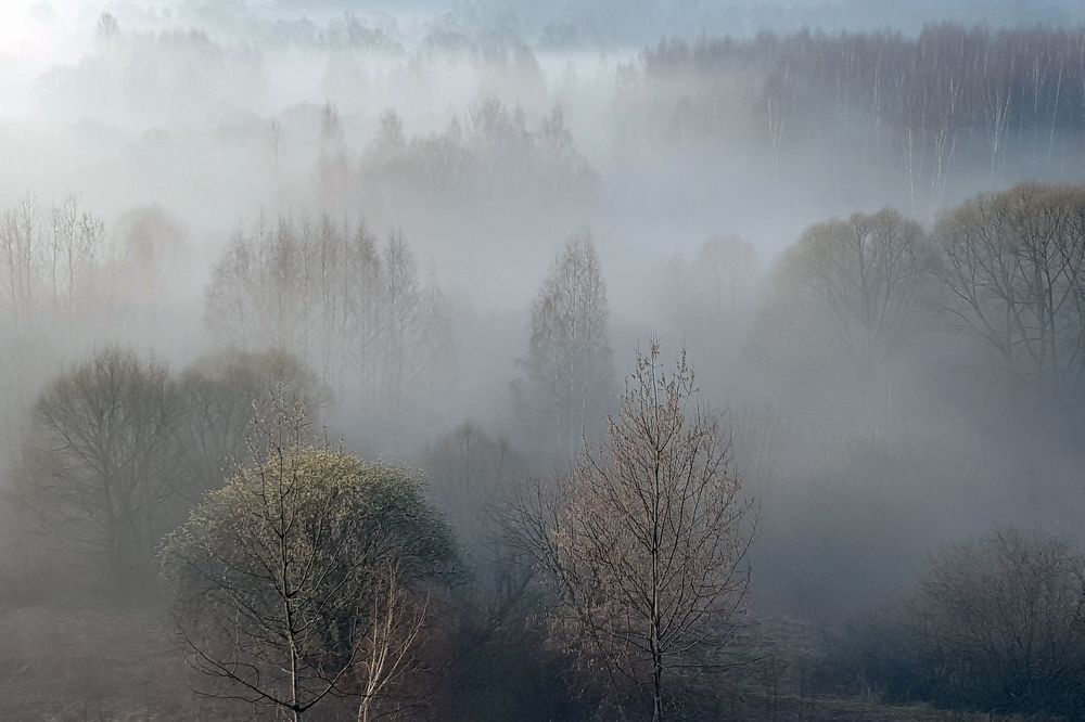 Утро. Весна.