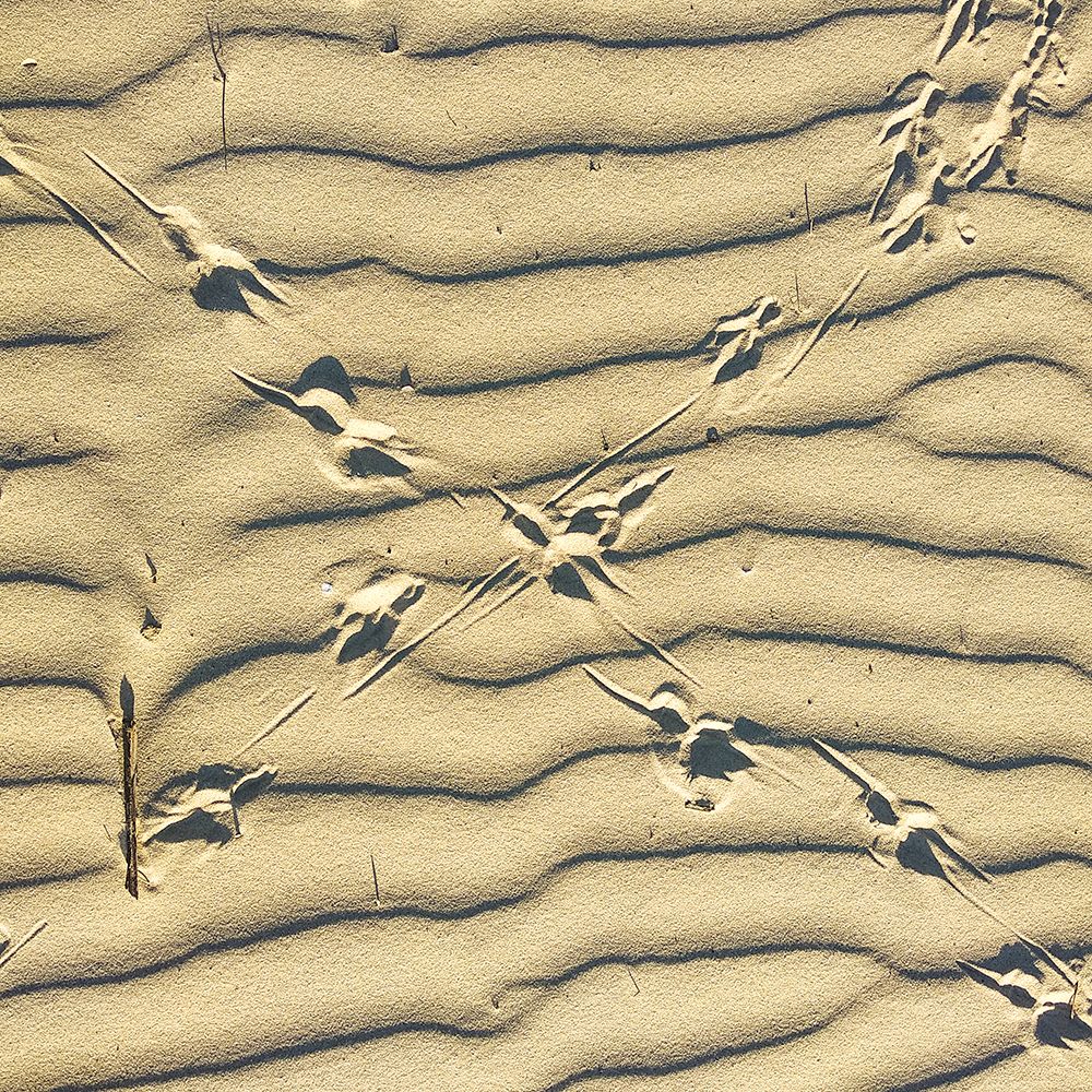 Следы на песке