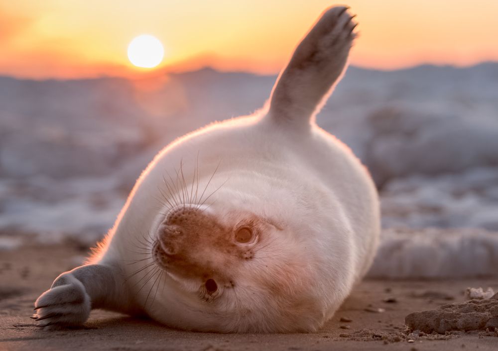 Photograph by Larisa Cekanaviсa