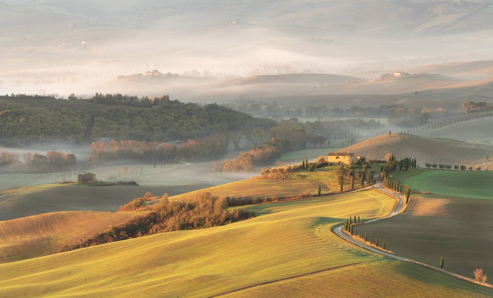 Fog, Light and Countryside