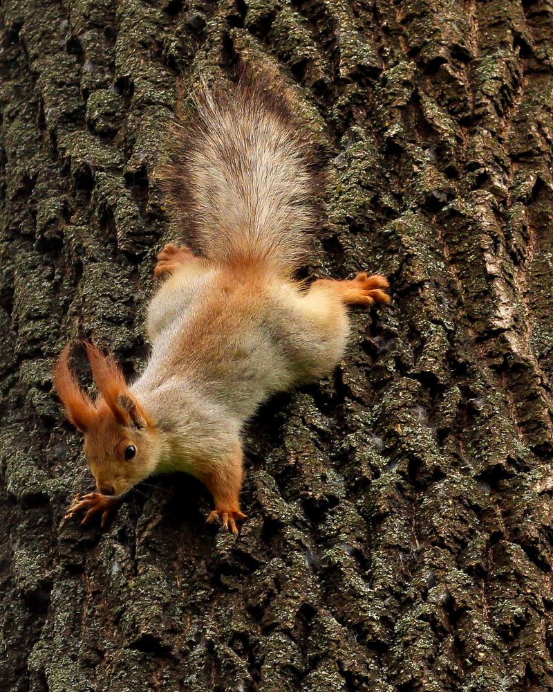 Неожиданно