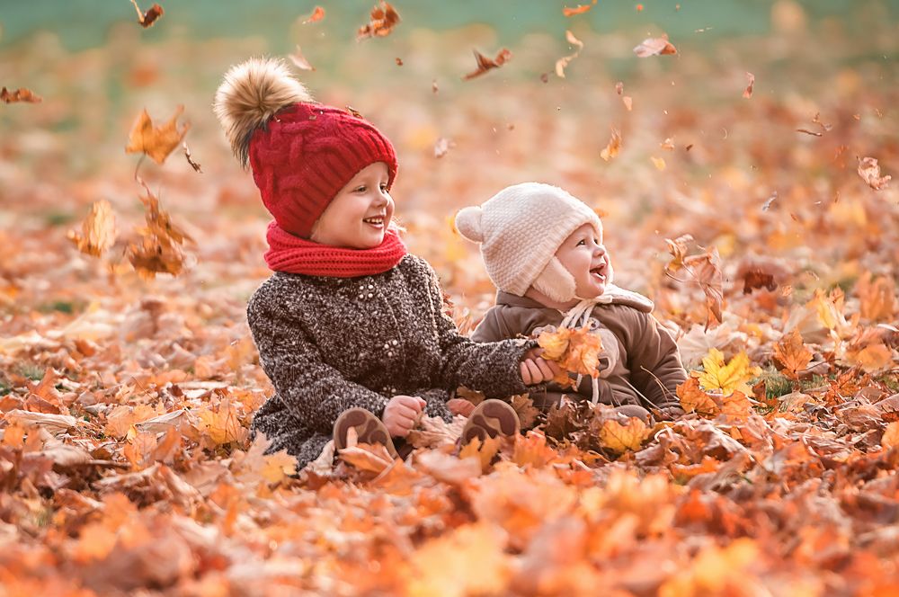 Осенние забавы