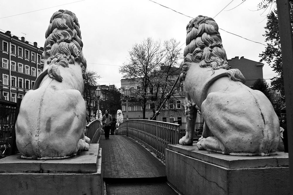 Молчаливые стражи