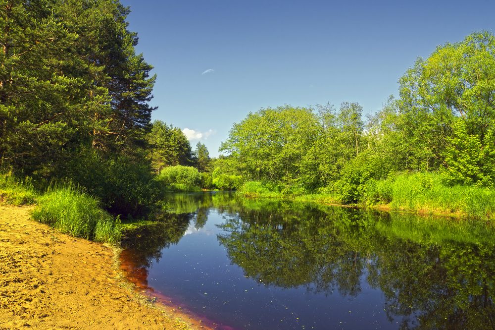 Летний день на Орше