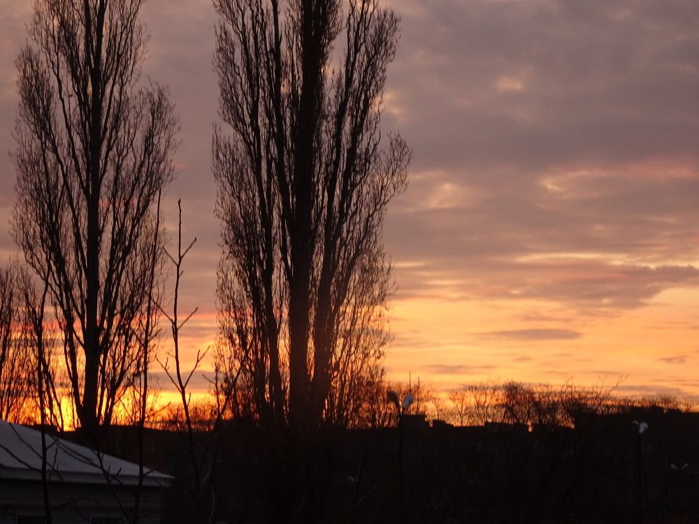 голые силуэты