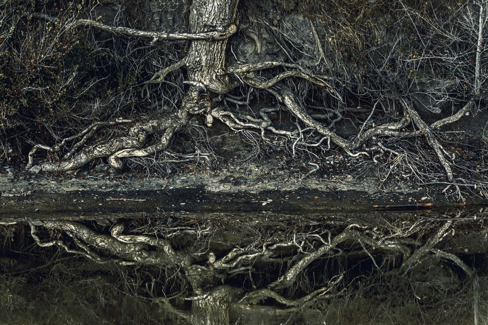 Глазами Данте