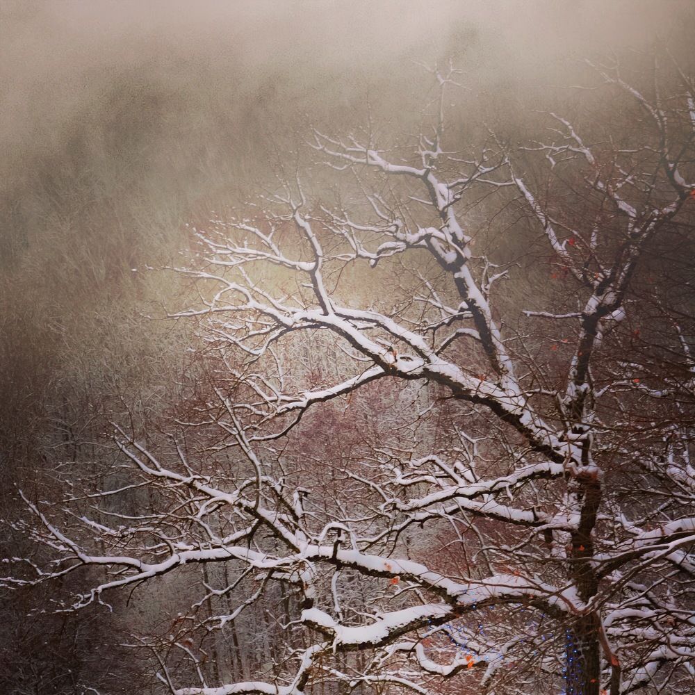 Photograph by Елена Акулова